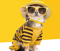 小程序有哪些用戶體驗(yàn)遭吐槽