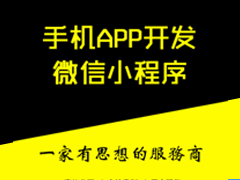 APP開發(fā)