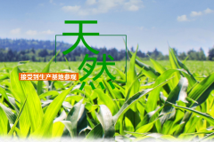 小程序崗位設(shè)置更精簡：1個產(chǎn)品經(jīng)理