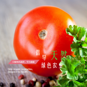 小程序崗位設(shè)置更精簡：2-3個程序開發(fā)人員