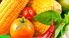 小程序操作體驗應(yīng)該更優(yōu)化