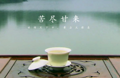 小程序為搜索的可持續(xù)性創(chuàng)造了條件