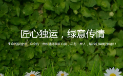 網(wǎng)站色彩評(píng)價(jià)研究的現(xiàn)狀