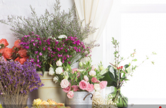 網(wǎng)站色彩評(píng)價(jià)的研究展望