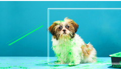 SNMP與CMIS/CMIP區(qū)別與聯(lián)系