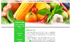 如何確定微信公眾號內(nèi)容的展現(xiàn)形式？