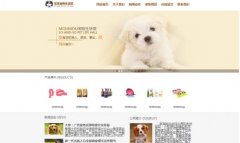 什么是綜合信息門戶網(wǎng)站？