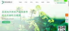 網(wǎng)站建設定制實用性