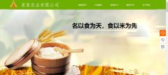 網(wǎng)站建設定制局部導航