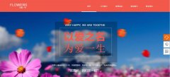 APP定制開發(fā)推廣方式單一, 成本高